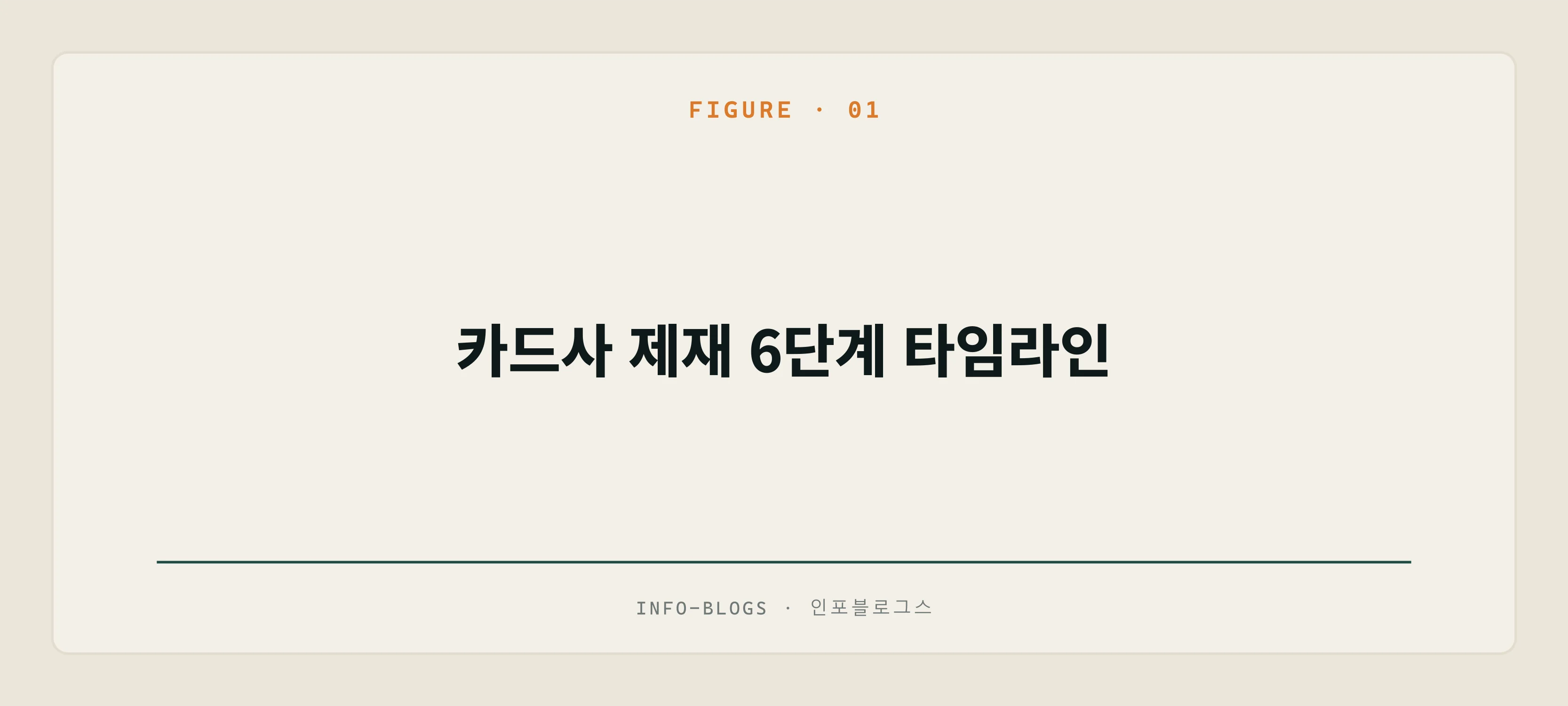 카드사 제재 6단계 타임라인